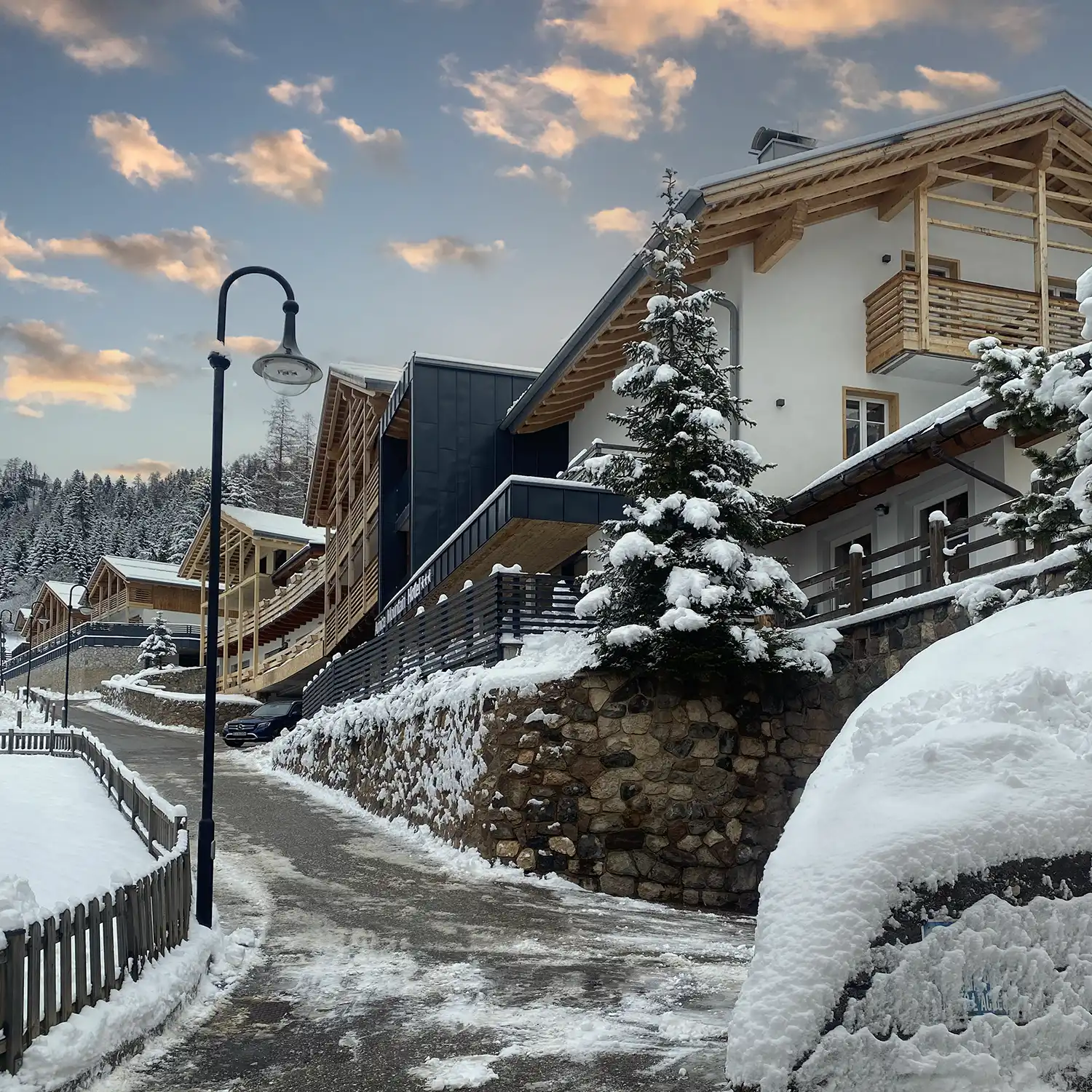 Arnica Mountain Hotel